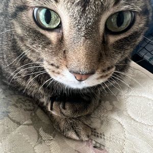 Meet your Posher, Grace